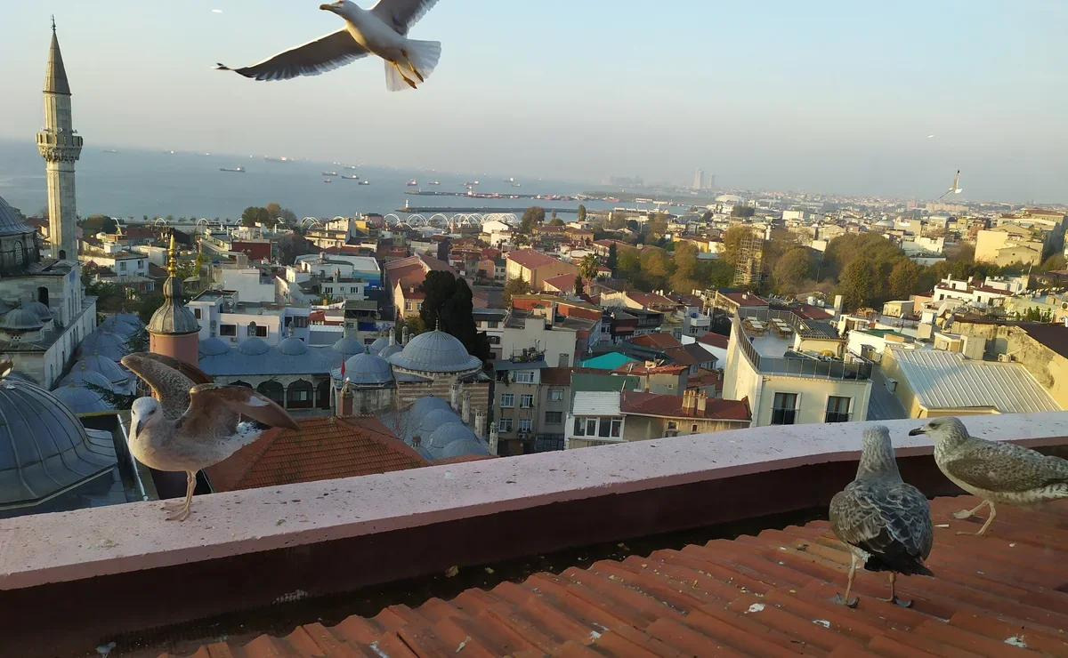Стамбул самостоятельно 2024: советы и секреты