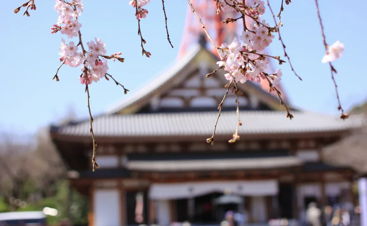 Mai japan. Япония. Япония в мае. Май в Японии.