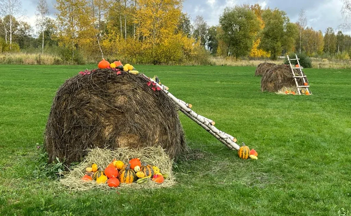 Сельский агротуризм Татарстан