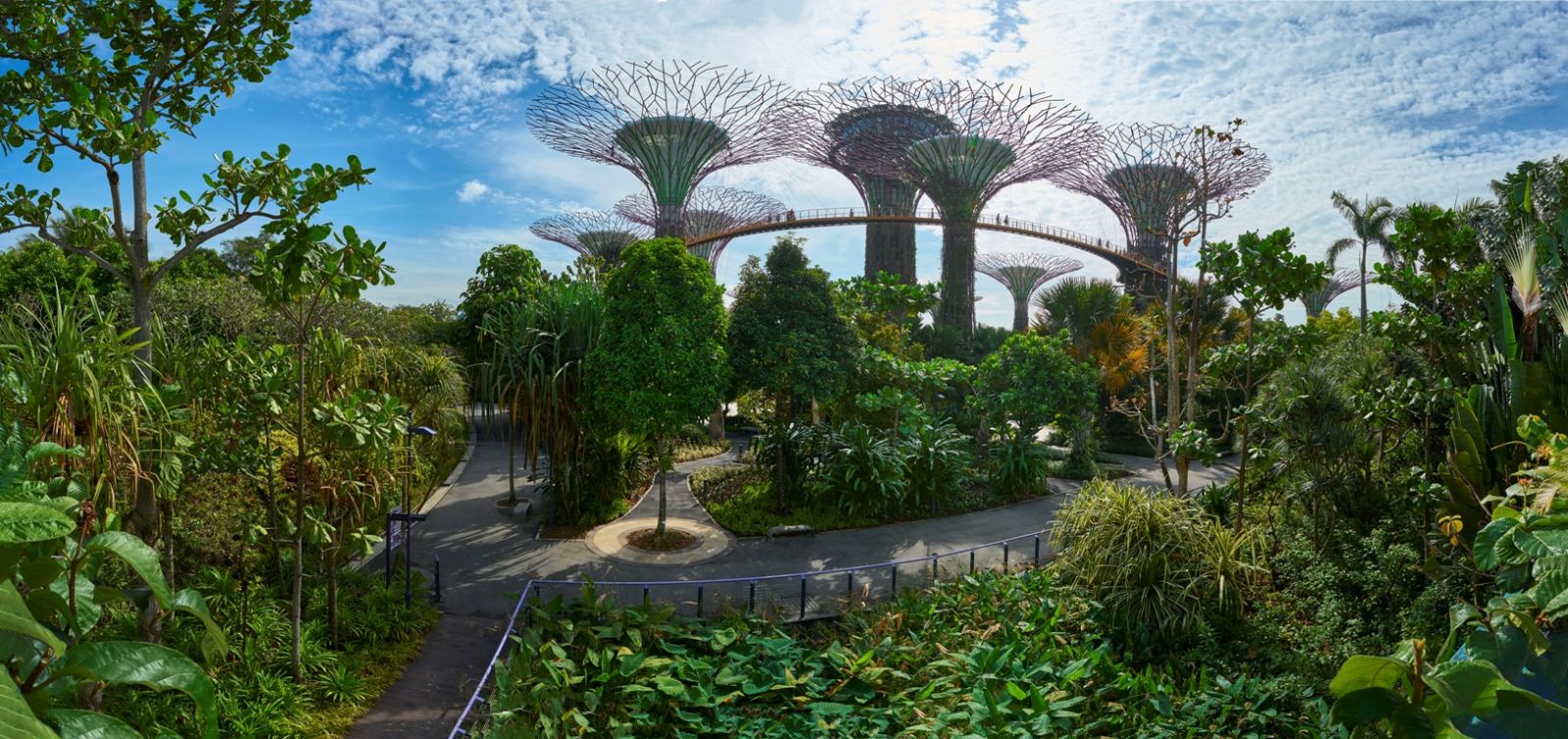Сады у залива в Сингапуре — Gardens by the Bay